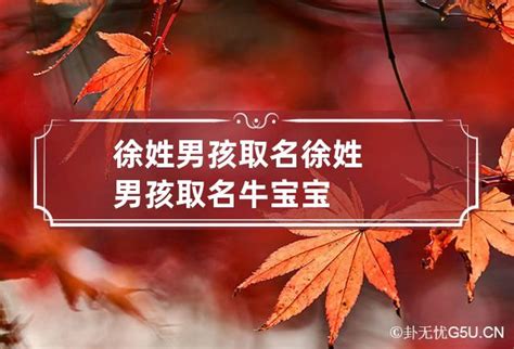 给宝宝取名字免费_2021年牛宝宝男孩姓徐取什么名字,第2张
