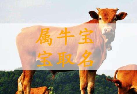 属牛的起名字带什么字好点_属牛叫什么名字好,第2张
