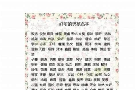 起名字大全男孩小名儿_小孩起小名字大全男孩,第2张