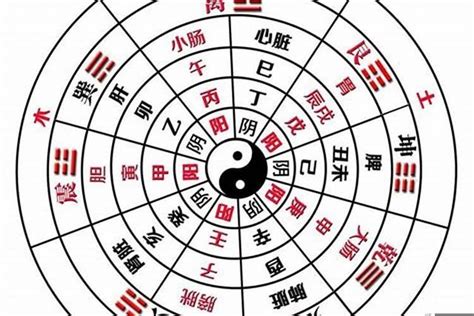 阴阳平衡的八字好处_什么叫八字阴阳平衡,第6张