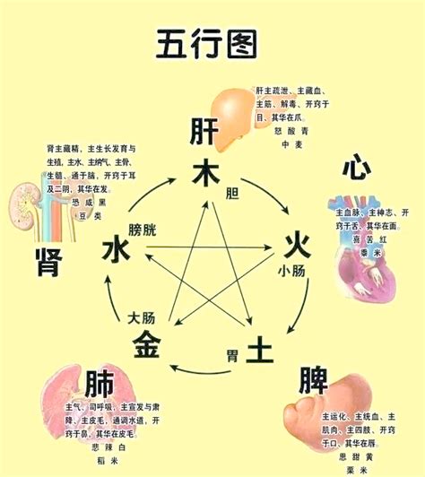 南方属于哪个五行_阴阳五行南方属什么,第3张 南方属于哪个五行_阴阳五行南方属什么,第3张