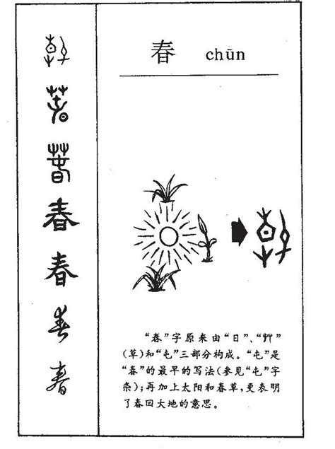 春字的女孩名字大全_以春字结尾的名字,第2张