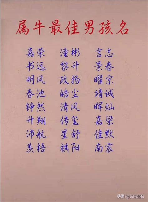 2021年宝贝取名_牛年出生的宝宝取名有寓意的,第3张