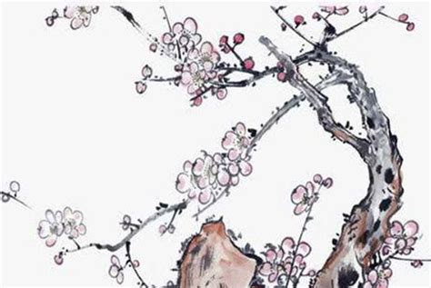 中间带枝字的名字女孩_枝字有诗意的名字,第2张 中间带枝字的名字女孩_枝字有诗意的名字,第2张