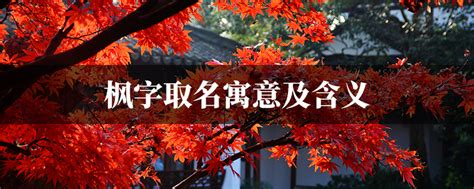 枫字的女孩名字洋气_女孩名字枫后配什么字好,第2张