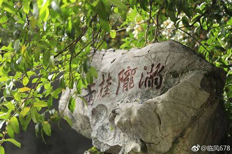 带桂的女孩名字的含义_女孩名字带有桂字,第3张
