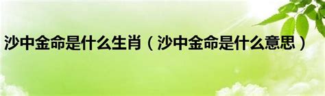 甲午年五行属什么_甲午年出生的人是什么命,第5张