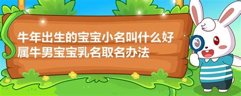 农历2021年除夕男宝宝起名大全_牛宝宝取名最佳,第3张