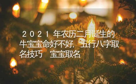 牛宝宝的起名大全_2021年的牛宝宝起名大全,第2张