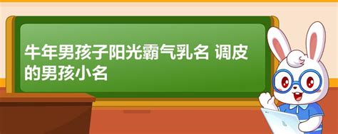 算命起名免费_牛年男宝宝名字小名,第3张