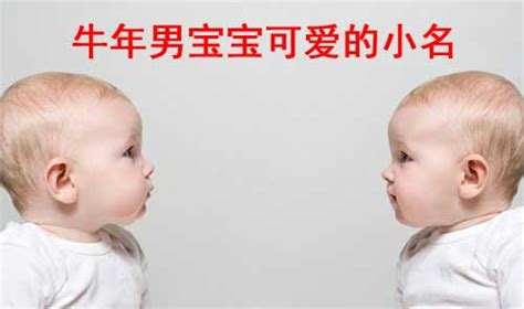 适合牛宝宝的男孩名字小名_男宝宝起小名乳名2021,第2张
