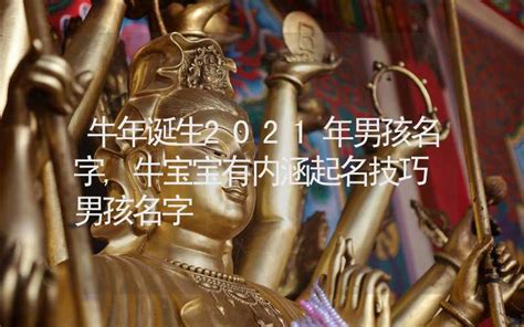 牛宝宝男孩取名_男孩名字牛宝宝名字大全,第2张