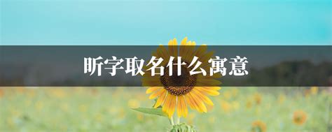 阳光女孩取名带昕字_怎么用昕字给女孩取名字好,第4张