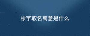 牛年棣字的男孩名字_含有棣的男孩名字,第2张
