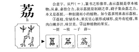 名字带荔的女孩名字_和荔搭配的女孩名字,第2张 名字带荔的女孩名字_和荔搭配的女孩名字,第2张