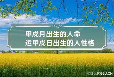 甲戌年五行属什么_甲戌年出生的人是什么命,第7张