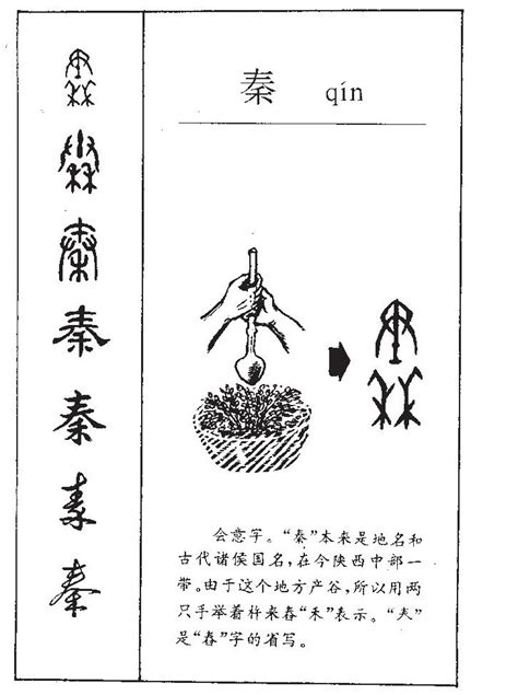 秦取名字女孩_带秦字的女孩名字大气好听,第5张