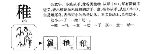 属土男孩取名字用稚字_属土带稚字取男孩名字,第2张