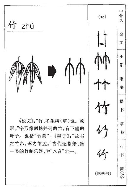 竹字的女孩名字唯美_与竹字搭配的名字,第2张