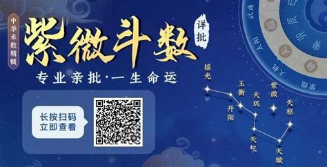 紫薇斗数流年排盘_流年紫薇命盘,第5张 紫薇斗数流年排盘_流年紫薇命盘,第5张