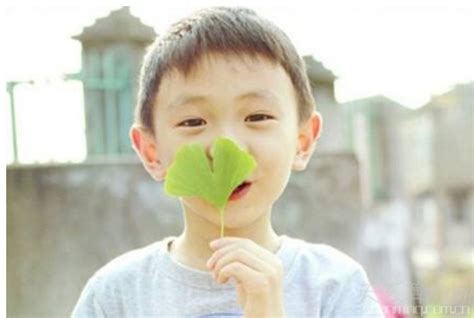 五行缺火带灿字的男孩名字_灿字取名字,第3张 五行缺火带灿字的男孩名字_灿字取名字,第3张