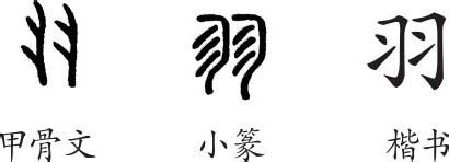 用羽字起名_羽在名字里的寓意女生,第3张 用羽字起名_羽在名字里的寓意女生,第3张
