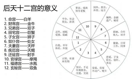 紫微星盘年轻_紫微星盘胎,第9张