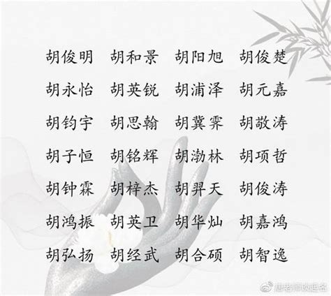 胡姓名字顺口的_用胡字取名大全,第3张