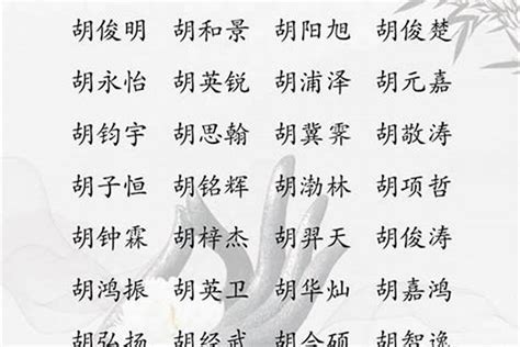 胡姓名字顺口的女孩_胡姓女孩名字库,第2张