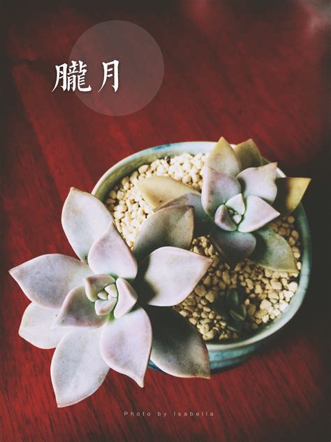 五行缺火最吉利简单好听的字_五行缺火最吉利的名字,第13张 五行缺火最吉利简单好听的字_五行缺火最吉利的名字,第13张