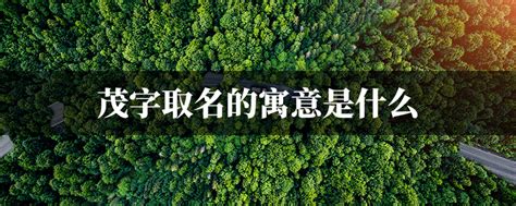 男孩取名用茂字_茂字搭配取名好听的,第2张