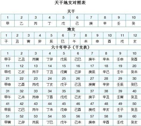 辛巳年是什么意思_辛巳年是哪一年,第4张