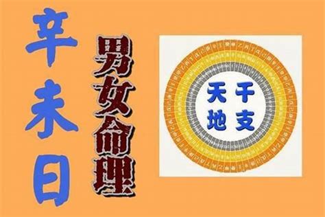 辛酉日柱2023年癸卯年运势_辛酉日柱走什么大运好,第8张