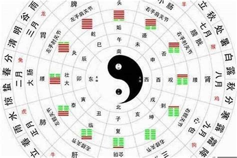 金木水火土五行查询表十二生肖数字_金木水火土五行查询表12生肖数字,第3张