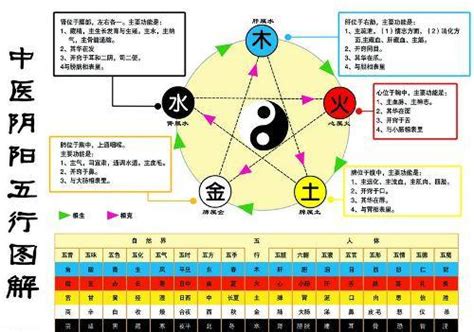 金生水的名字_金生水是金旺还是水旺,第7张