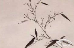 带锦的霸气男孩名字_锦字跟什么字搭配取名最佳,第2张