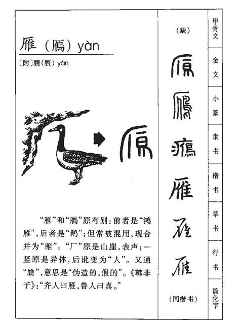 雁的女孩名字大全集_雁字高雅的名字,第5张