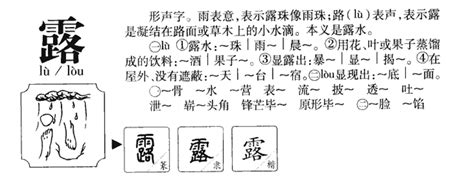 露字好听的女孩名字_露和什么字搭配最好,第3张