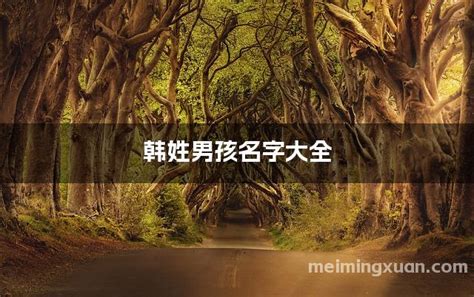起名韩男宝_韩姓男孩名字大全2021,第3张