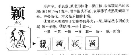 颖字的女孩名字大全_颖字的古风名字,第2张