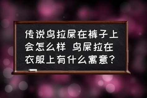 被鸟屎砸中身上暗示什么_出门被鸟屎砸中意味着什么,第9张