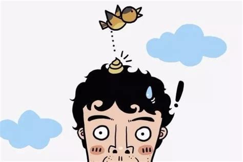 被鸟屎砸中身上暗示什么_出门被鸟屎砸中意味着什么,第12张 被鸟屎砸中身上暗示什么_出门被鸟屎砸中意味着什么,第12张