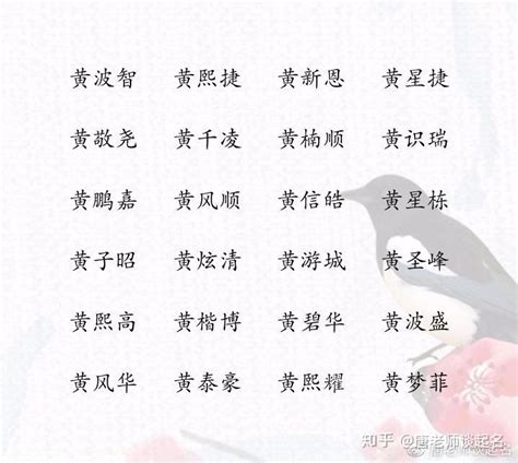 2021黄姓男孩名字顺口好听_姓黄取名字大全,第2张