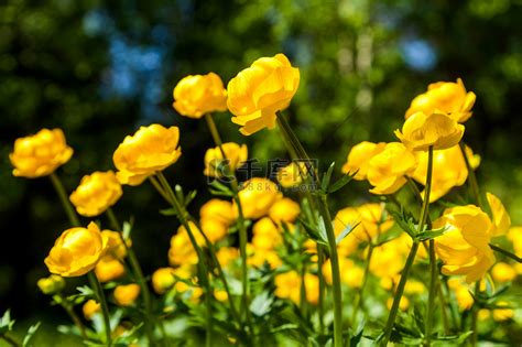 五行缺土戴什么首饰最旺_五行缺土的人戴什么首饰最旺,第7张 五行缺土戴什么首饰最旺_五行缺土的人戴什么首饰最旺,第7张