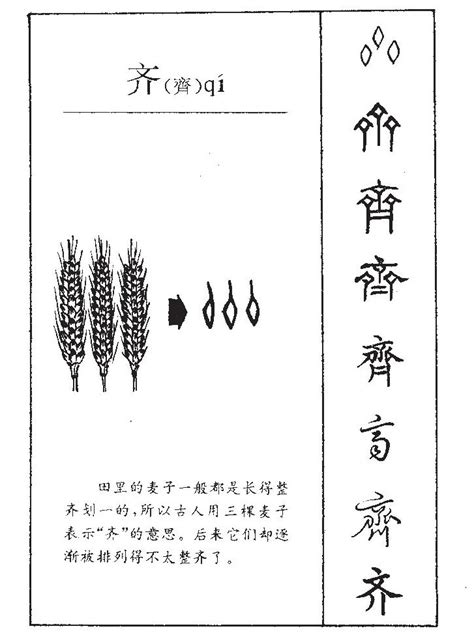 带齐字的女孩名字大全_齐取名的寓意好,第4张
