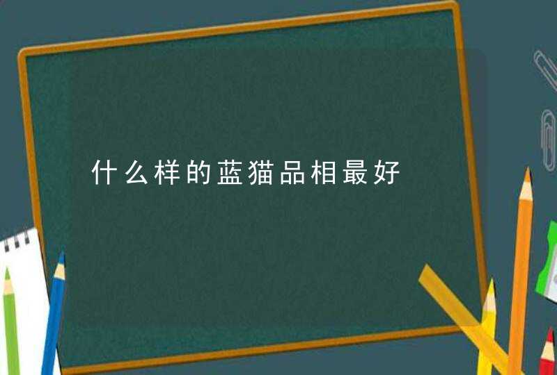 什么样的蓝猫品相最好,第1张