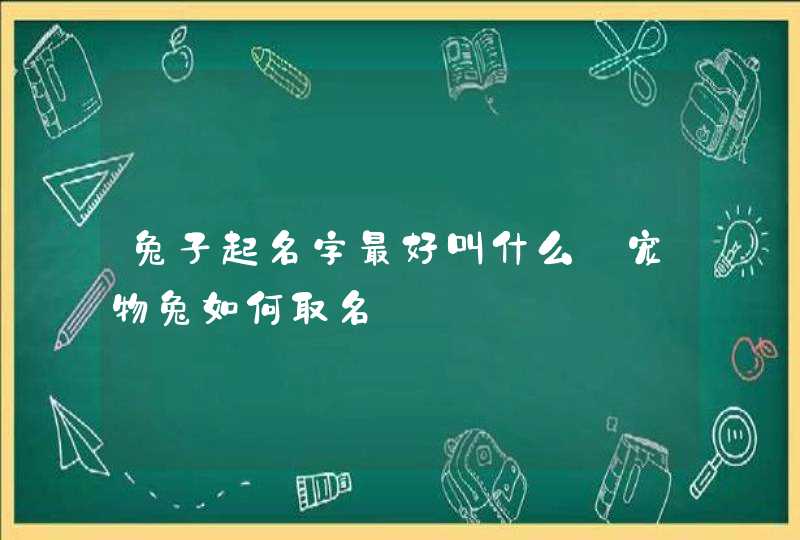 兔子起名字最好叫什么_宠物兔如何取名,第1张