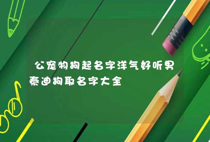 公宠物狗起名字洋气好听男泰迪狗取名字大全,第1张