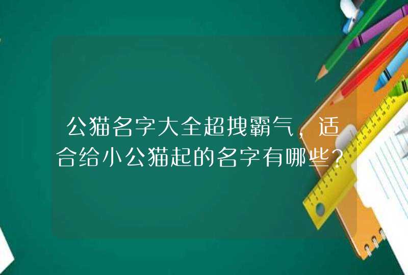 公猫名字大全超拽霸气,适合给小公猫起的名字有哪些?,第1张