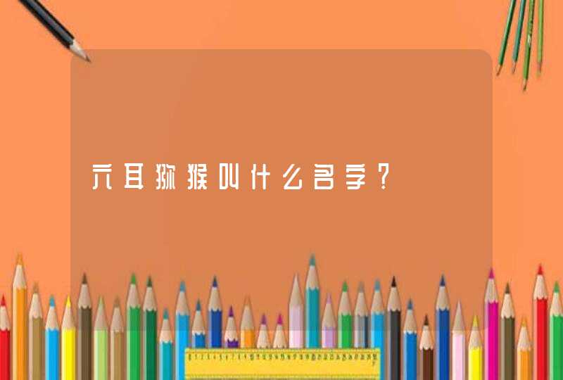 六耳猕猴叫什么名字？,第1张